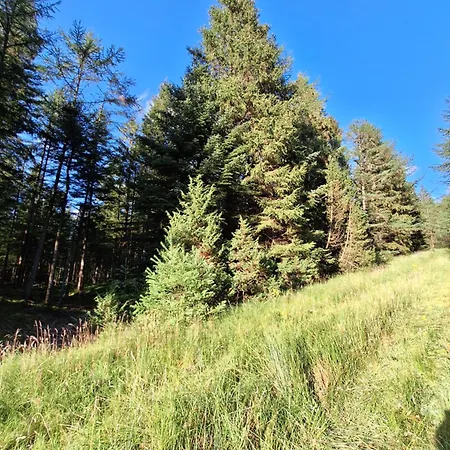 Rodsten Gaestegard 度假居