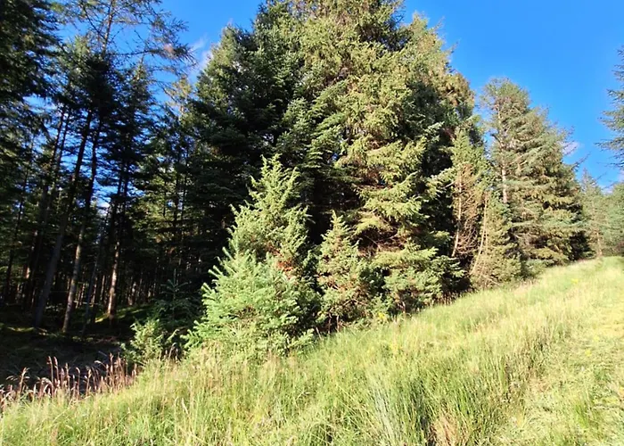 Rodsten Gaestegard Ferienhaus