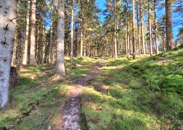 Ferienhaus Rodsten Gaestegard